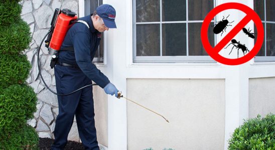 Senirkent Gümüşkurt İlaçlama böcek ilaçlama ve haşere kontrolü — ilaclama-tr.com